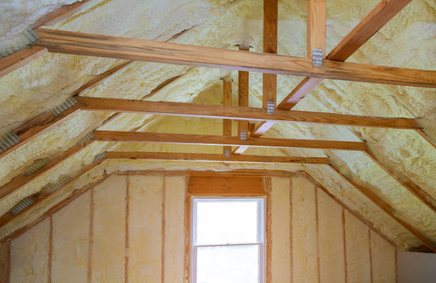 Best Insulation Replacement Services  in Smyrna, GA