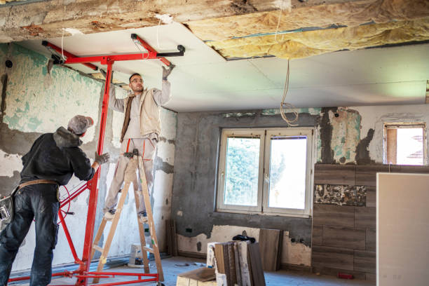 Best Local Insulation Services  in Smyrna, GA