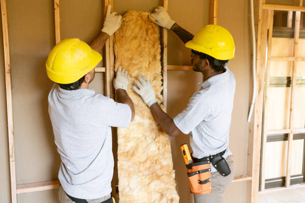 Best Home Insulation Services  in Smyrna, GA