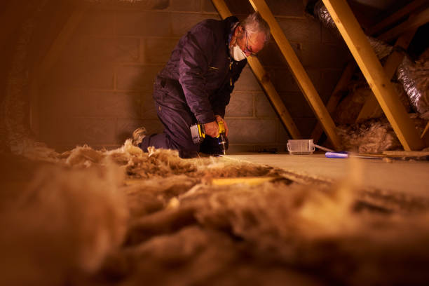 Best Crawl Space Insulation  in Smyrna, GA